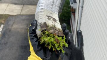 Top 5 Reasons to Install Gutter Guards on Your Home Today