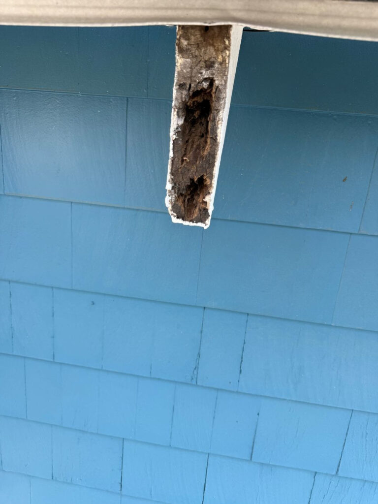 Rafter tail repair by Boston Gutter Solutions