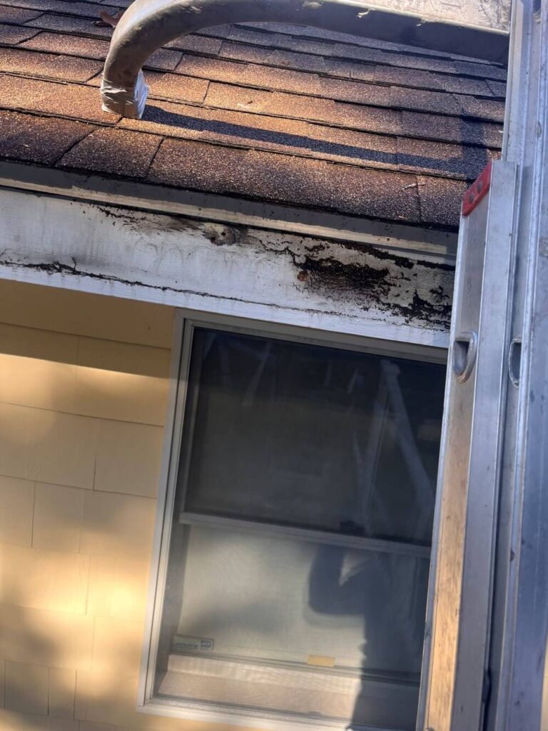 Fascia and gutter replacement in peabody by Boston Gutter Solutions