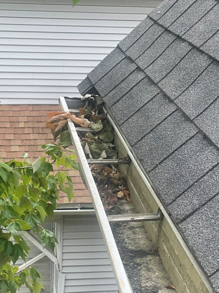 Stuffed downspout - Boston Gutter Solutions