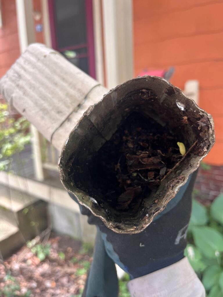Stuffed downspout Issue - Boston Gutter Solutions